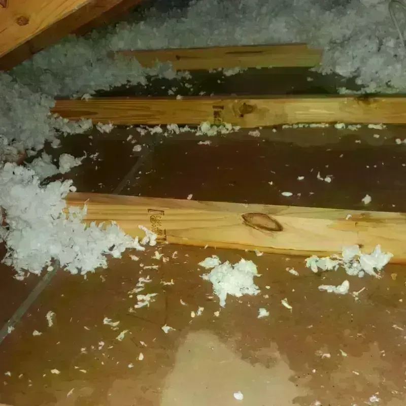 Attic Water Damage in Anderson County, SC